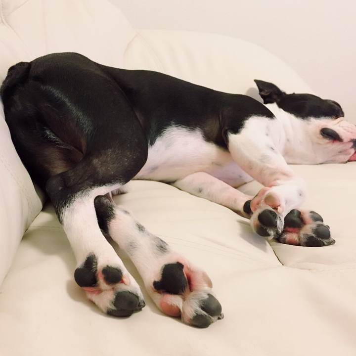 9df82406 4bc3 47c4 8669 6ece20b68e4f