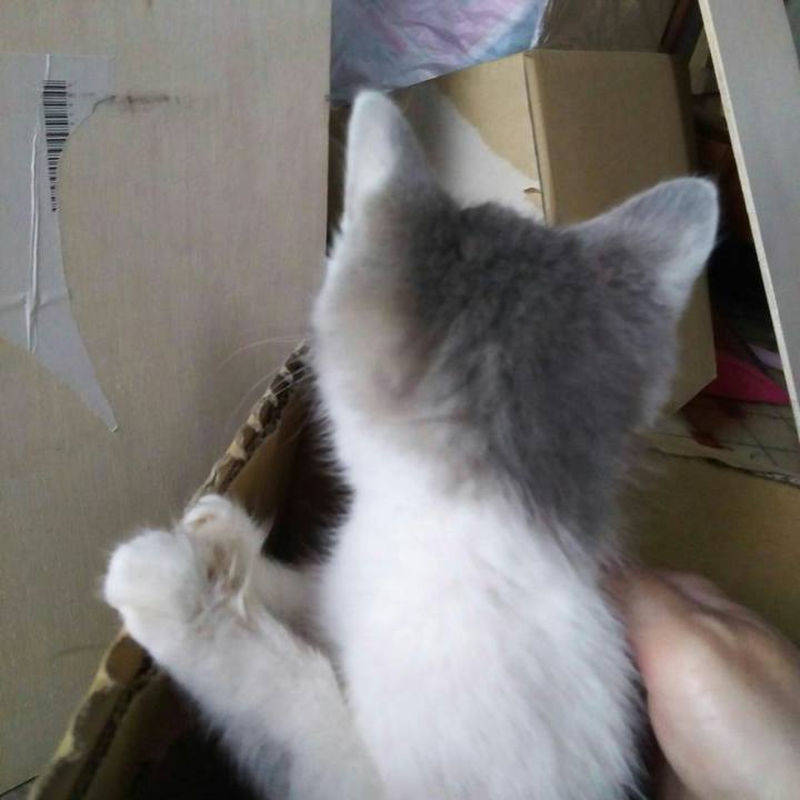 9df8df48 d5e8 4882 94ae ec3ad7436614