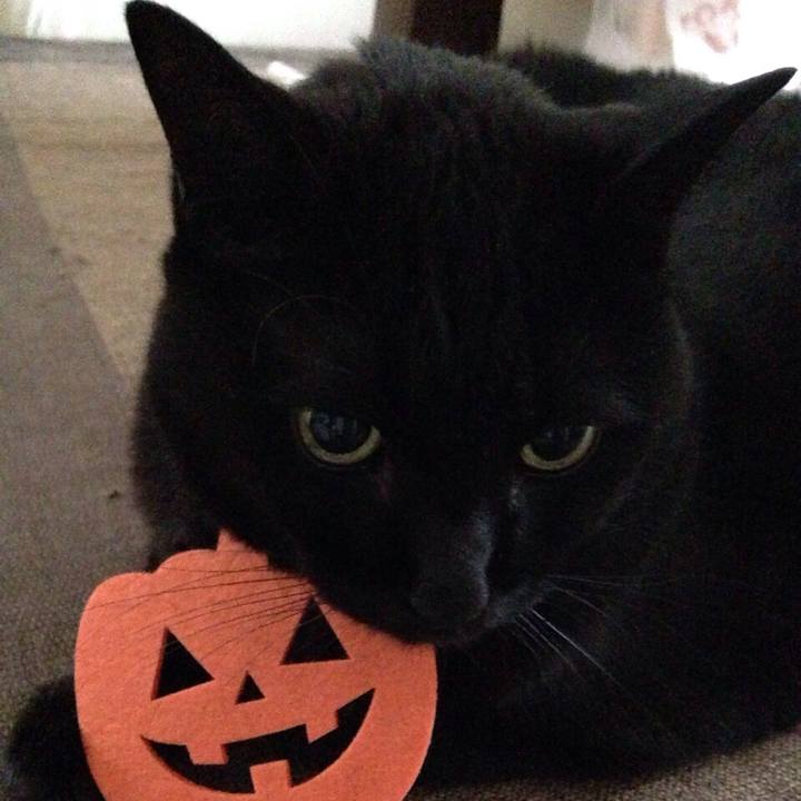 9df8e47e 0d48 4d48 aeab 52aaff937086