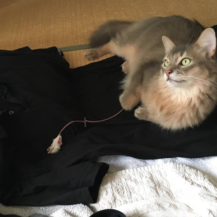 9df9f58f d41b 4829 a887 ab10f43ed117