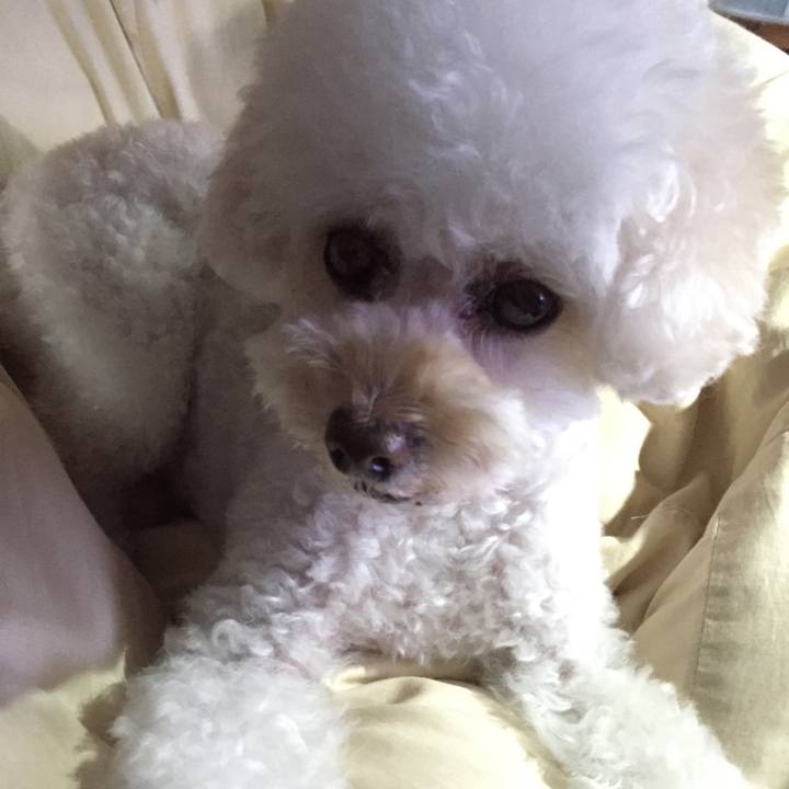 9dfa06ac 3532 4cd7 82ad 2c53c98cf61e