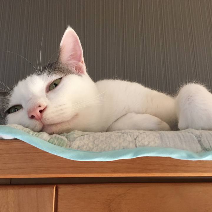 9dfa839e d3a6 4a57 86d7 e337ff35aa75