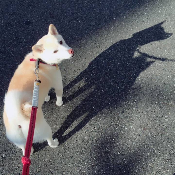 9dfab44a ec34 46af a748 fa2628084b19