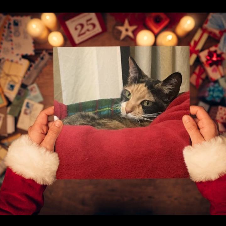 9dfaef53 33e4 444d a693 e0e94a5b192b