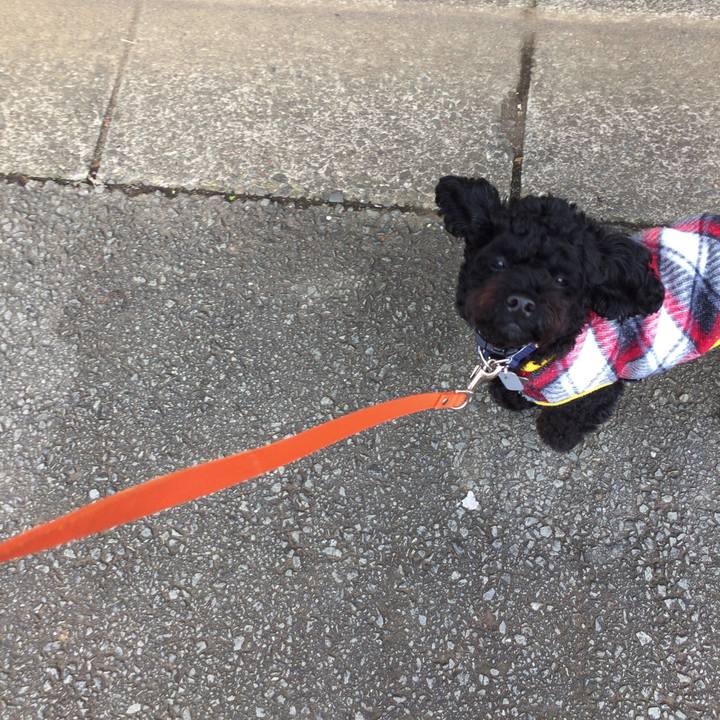 9dfb8e5b 5817 4767 a209 0f8550936d78