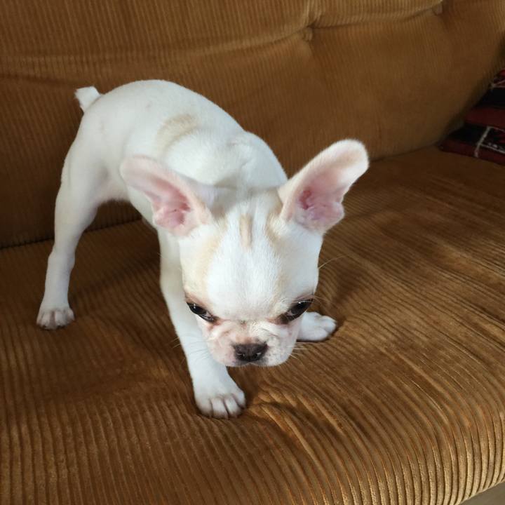 9dfbe342 edd3 4cae 870f c886faacc52f