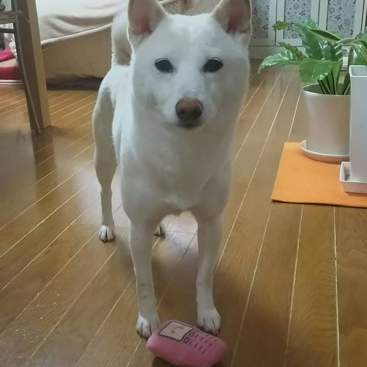 9dfcedf0 7a5d 4bb9 a19b da6179663d92