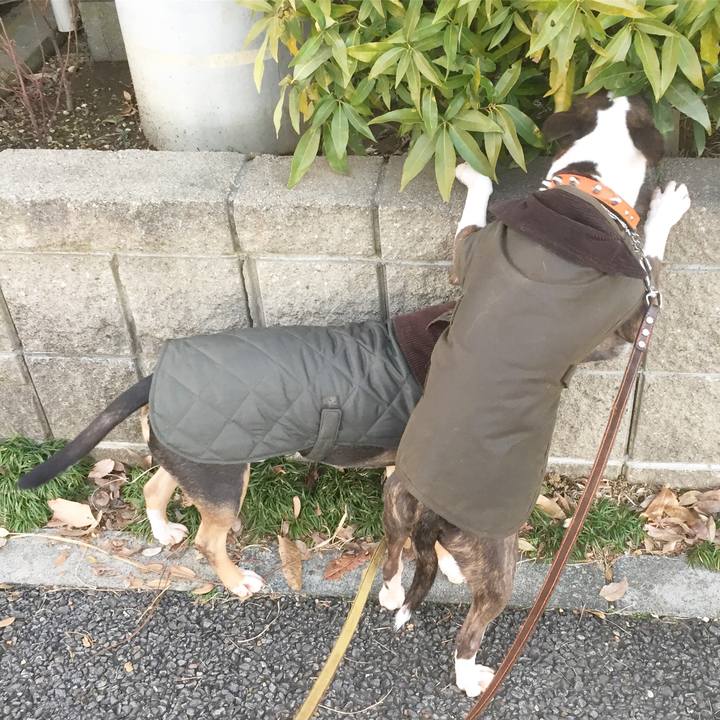 9dfd0c51 4eb2 4d1f 849e e6e75816a17e