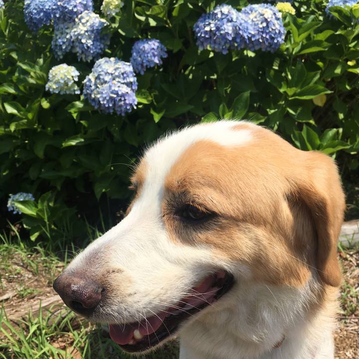 9dfd7998 4045 4368 ae1c 08cee0cec591