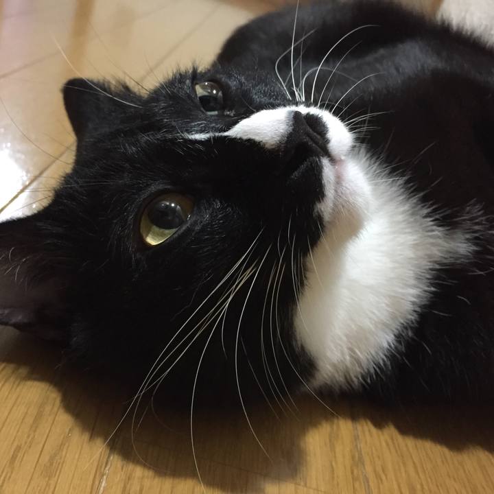 9dfdd1d0 3b93 4834 966d 88b131227c80