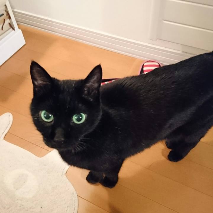 9dfe7163 5b9c 41bf bdac 83daa90e739b