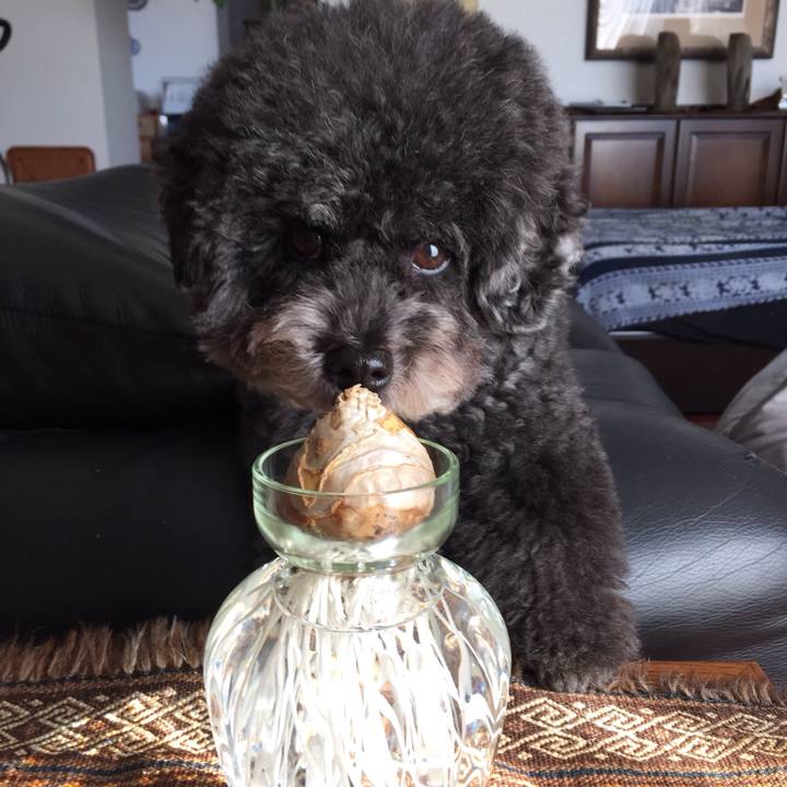 9dfebf53 10cb 4152 a7e8 7c5ced454982