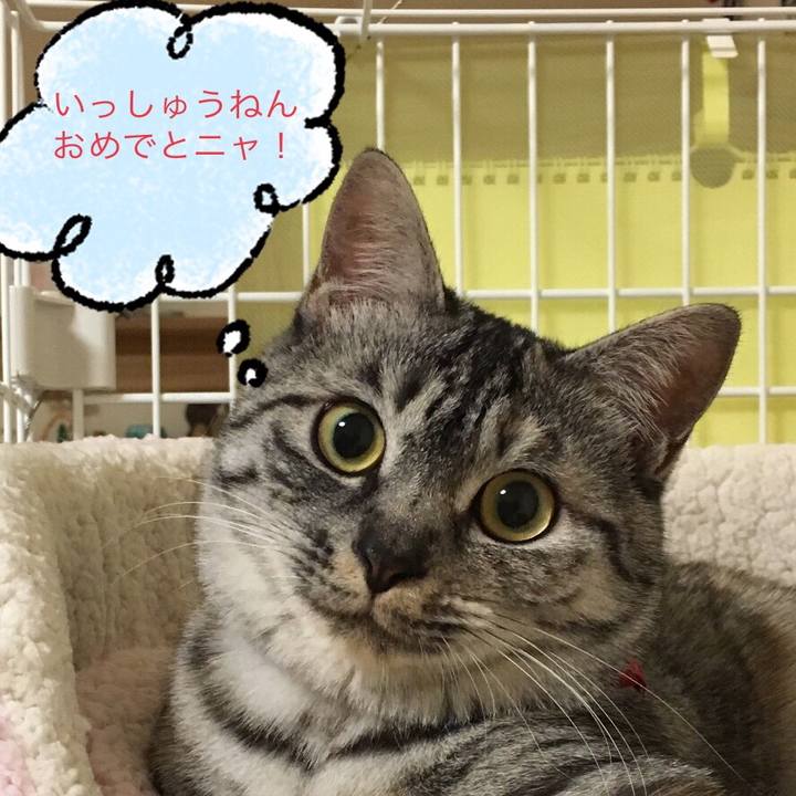 9dff2822 900b 430a 86bc 23ae9e9850ac