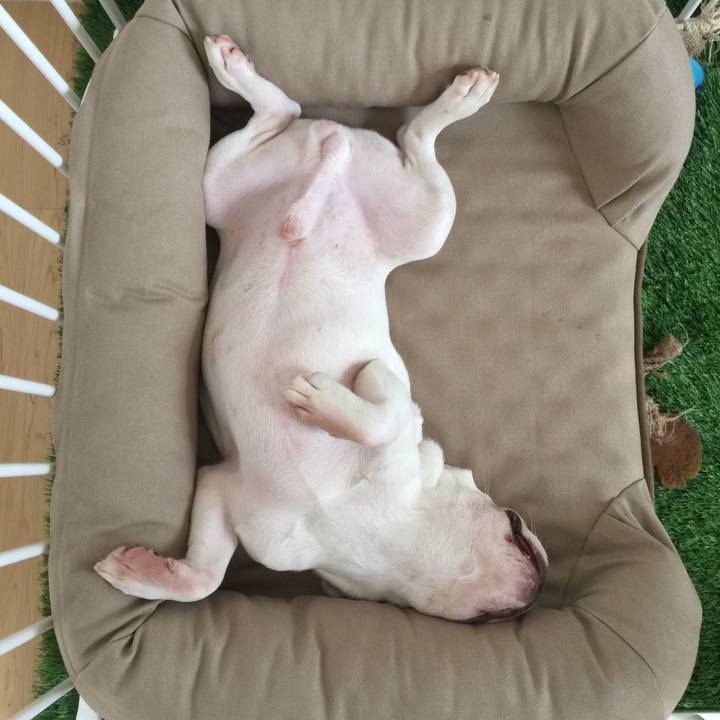 9dff3e34 f22d 4932 89e1 0b19515efdc6