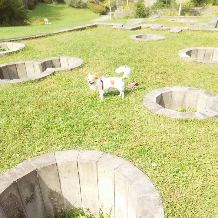 9dff71d1 8329 453f 94db 396330301ddd