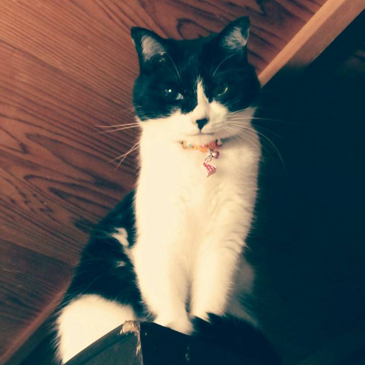 9dffc475 cf16 48c4 8c48 015b24bd6ea6