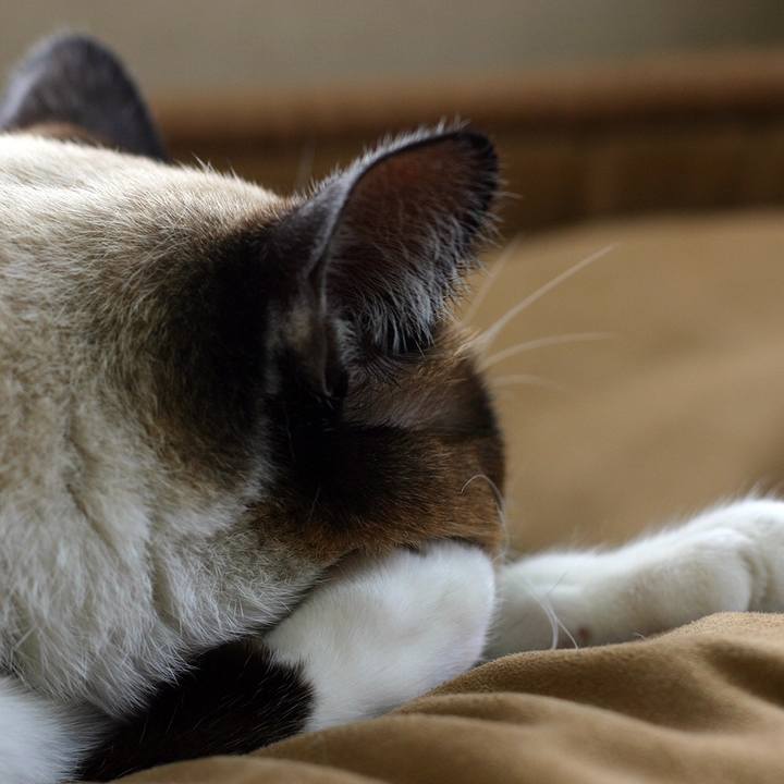 9dffee56 7810 42d9 b5da 097205e0e652