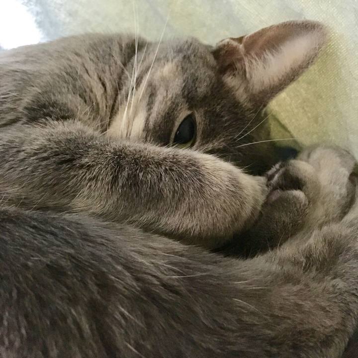 9e0132b3 4d13 4c94 884a 79e8f89e50c9