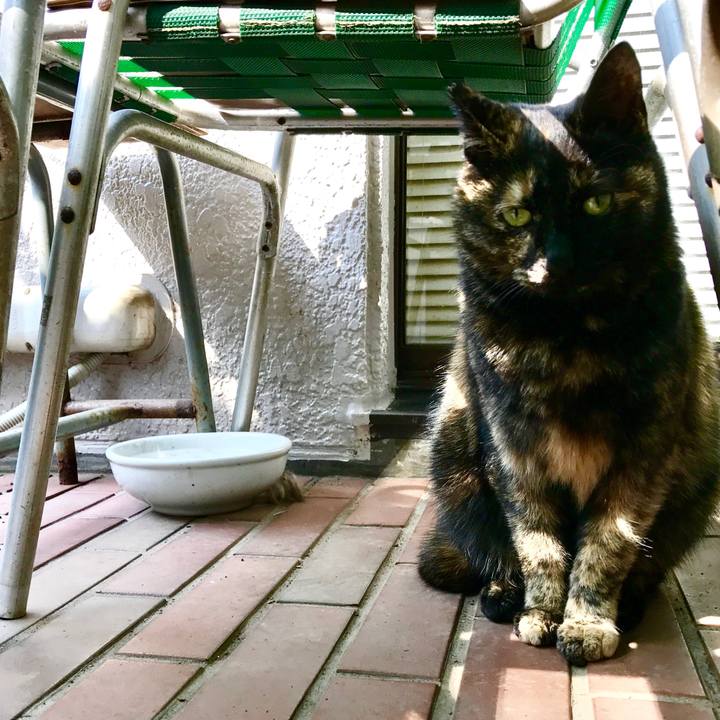 9e01f065 ff34 4c3e b7a1 7c70d3bb9779