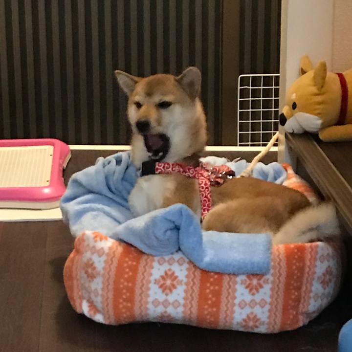 9e01f9bd 3802 4d38 93f9 afad1c92d406