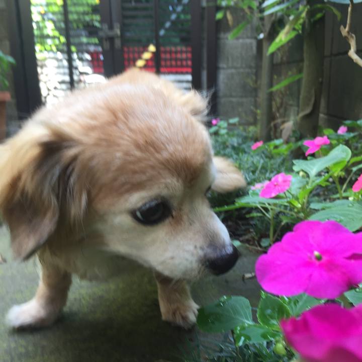 9e02a9b6 852d 46e5 8b18 975bf0915eeb