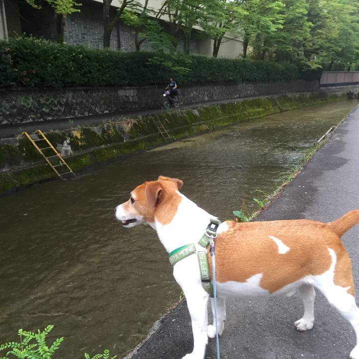 9e038052 106a 4712 8798 fbf9c7231e5a