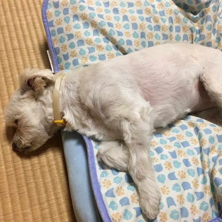 9e044c59 4981 42be 8a26 49aceef1ce10