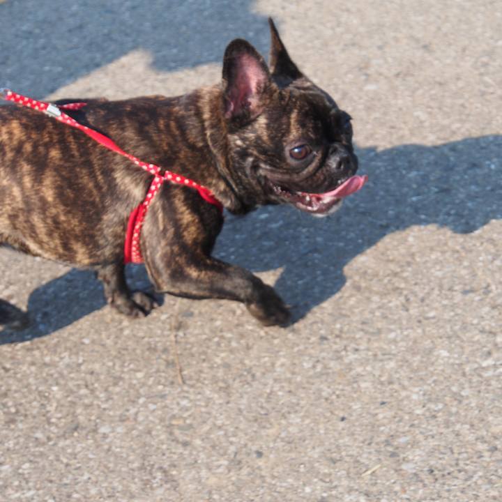 9e048119 962f 4568 8bdd f35567d83115