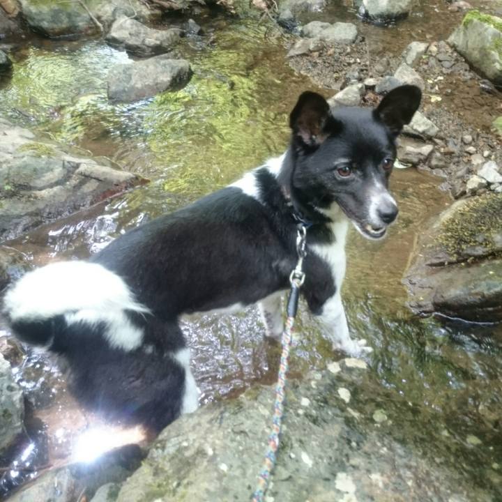 9e04980d 2ca0 41ed 8031 687870541d51