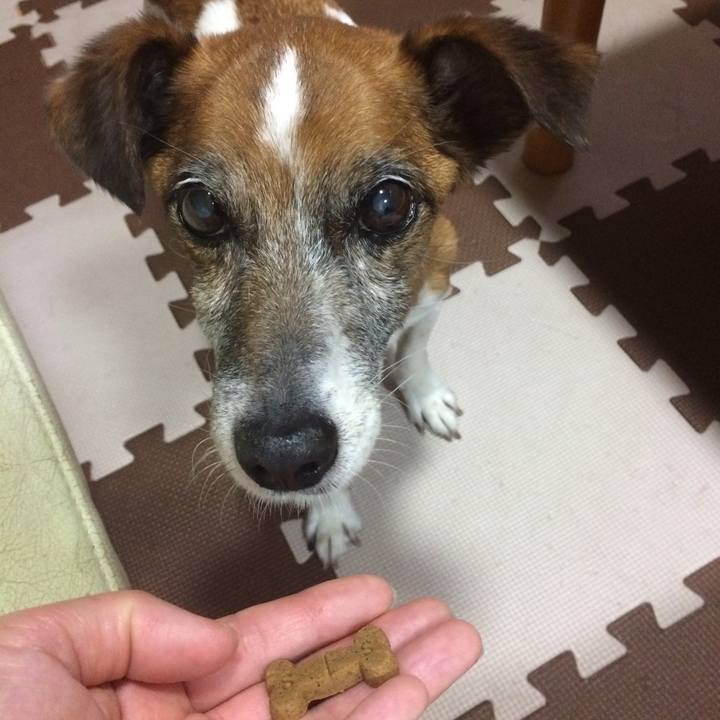 9e04f8fe 0fad 477a aa61 338ad2f6bcec