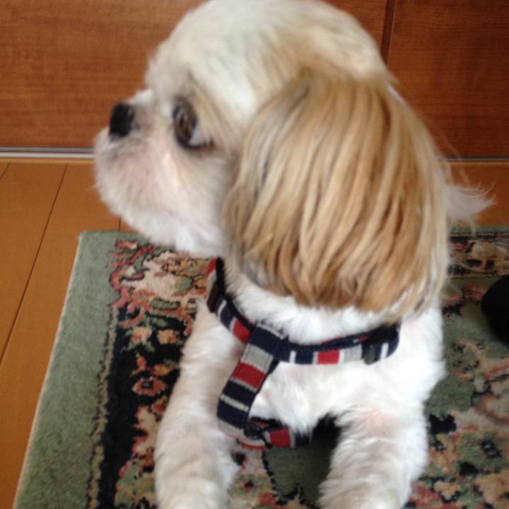 9e054e0d 84a5 4c53 9552 70aad7cdcf48