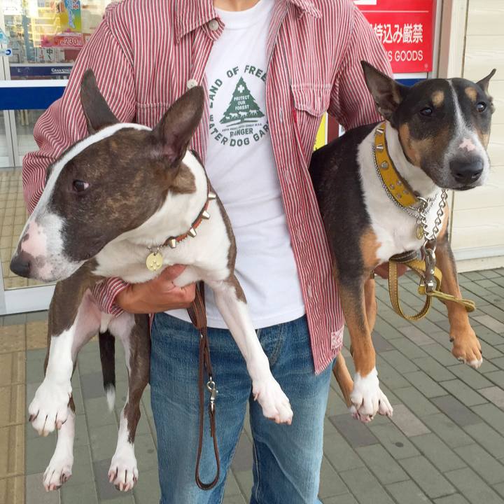 9e05552a 8e42 4e33 8d9a e38a01e5225c