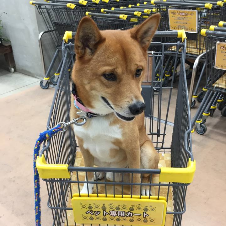 9e059fbe 9f55 49a7 a1cf c6405790cf3c