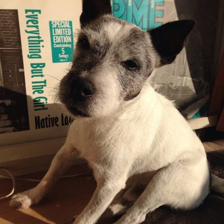 9e05a62e c4ca 4dc2 85f5 33d0f5024185