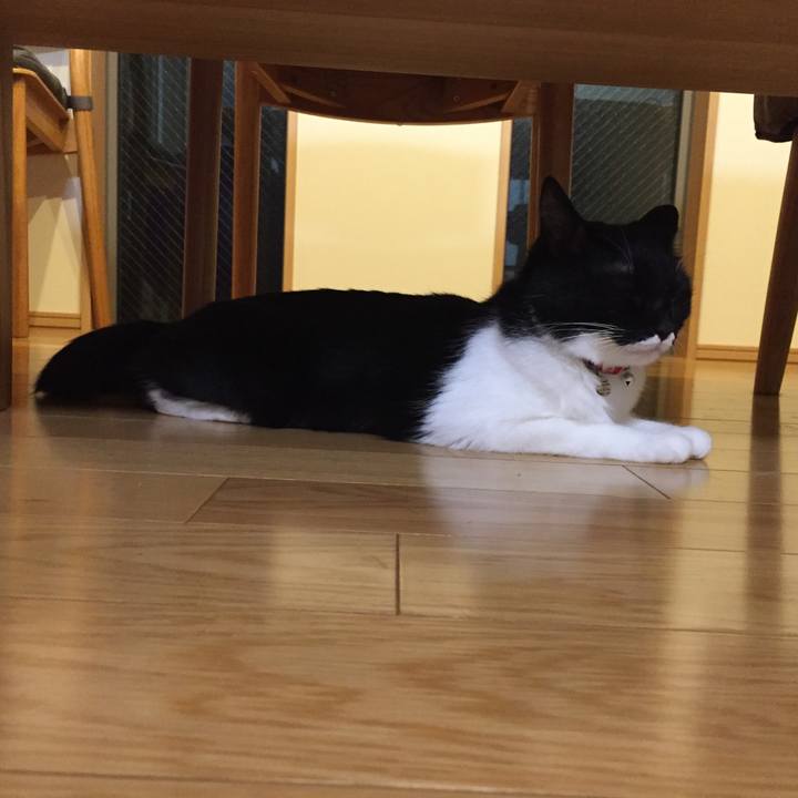 9e05b728 476b 4d28 b57e 682906b84fed