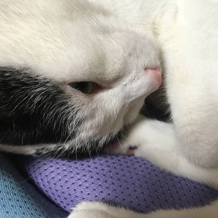 9e05ce18 e20b 4a71 804e e15db87b28e1