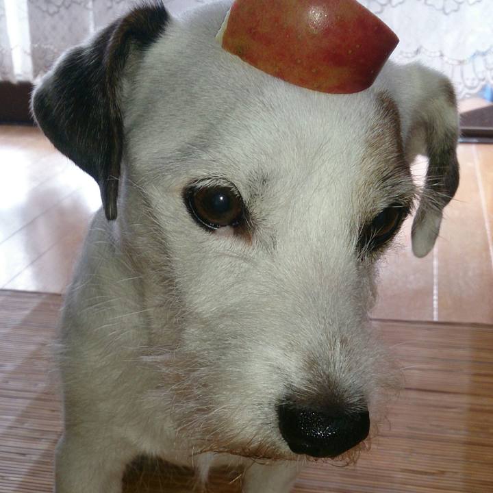 9e05ede1 04aa 4f08 9b5a 28eba896a55d