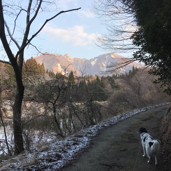 9e074611 1087 4589 9b6d 03cc5ea1a881