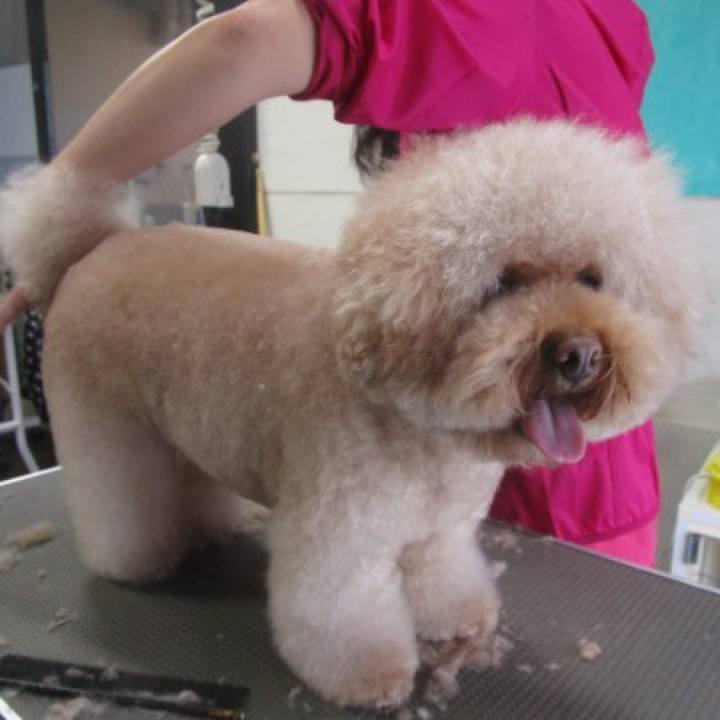 9e07496b 383c 49a5 bfe1 09481d49da93