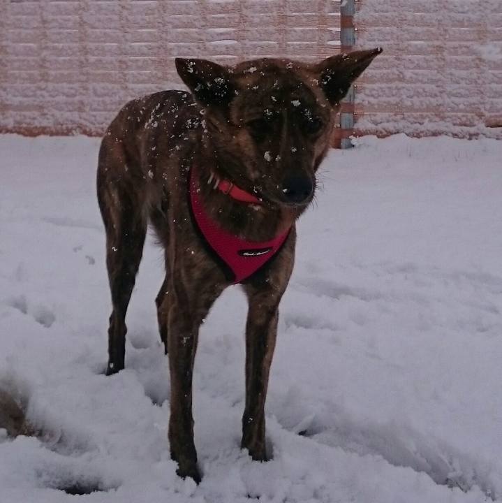 9e07cf2d 2ad7 4298 9a7c 4f361d803c99