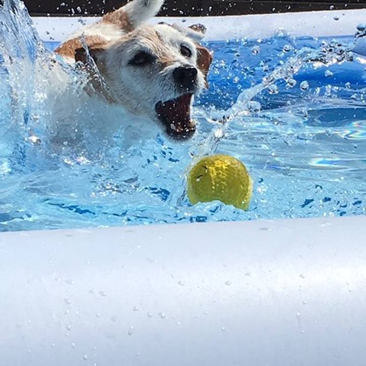 9e0812e8 1246 411d a940 7fffd606c5e1