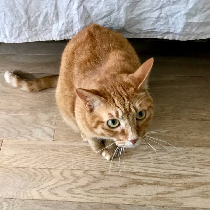 9e0862ee 4745 4679 a4f2 54eac618ecca