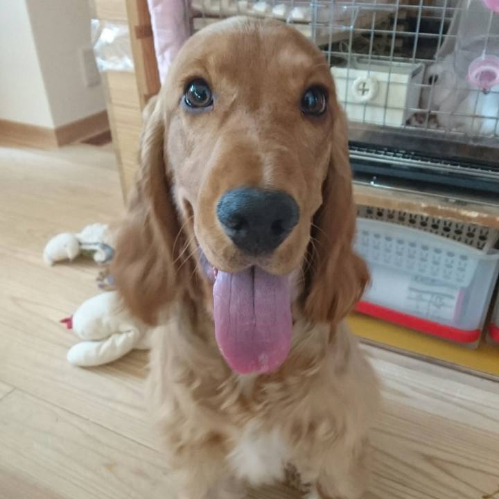 9e0873f8 faa7 41cb b31b effa7c69adbe