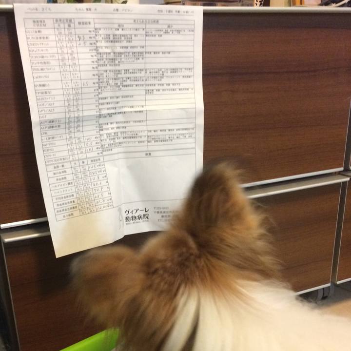 9e087b22 0a93 4594 a5df 025d9ba72fcb