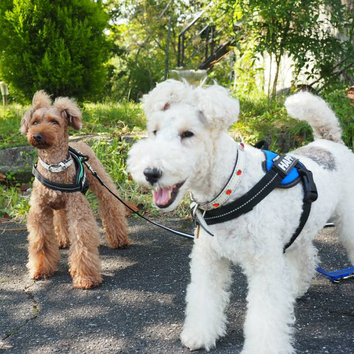 9e08e325 063a 4ff1 a39a 6cbd61b30e0b