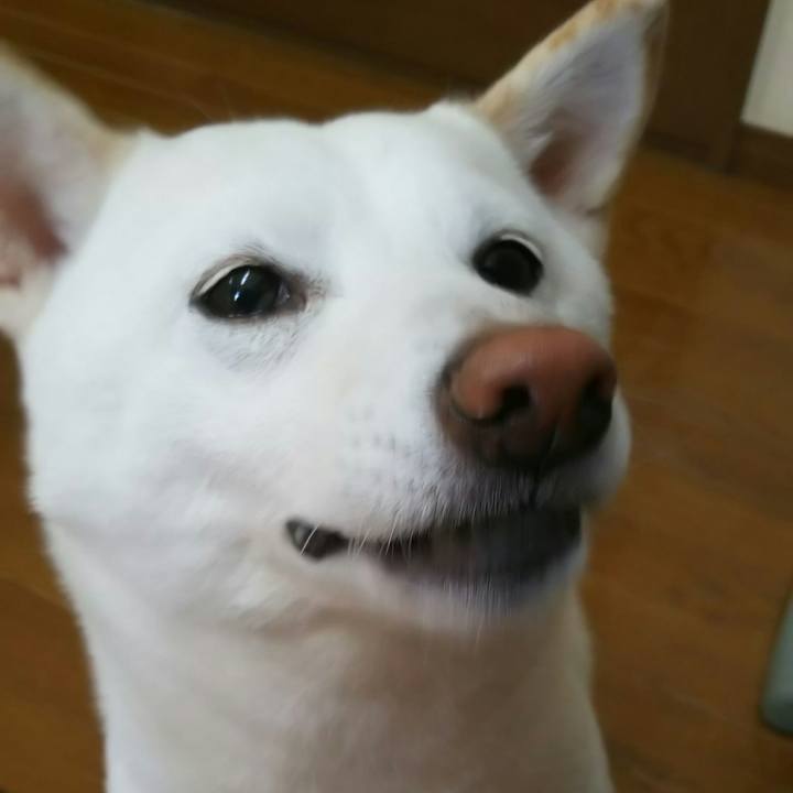 9e096022 083c 4bcd a0f5 7db61745546a