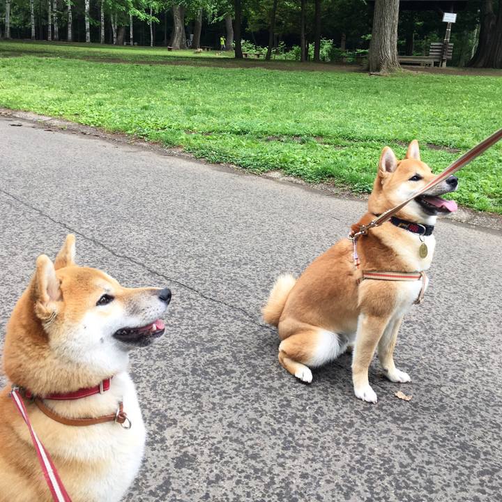 9e09d532 79e7 4e1c bc1e cd0b68be2241