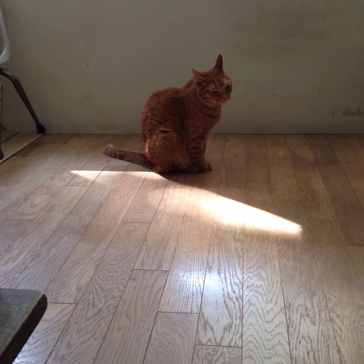 9e0a013c 372f 4884 bdfb 4a884b0d9c83