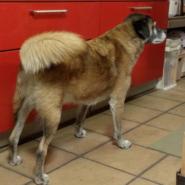 9e0a26e1 bcb7 481e 9986 815d305f470a