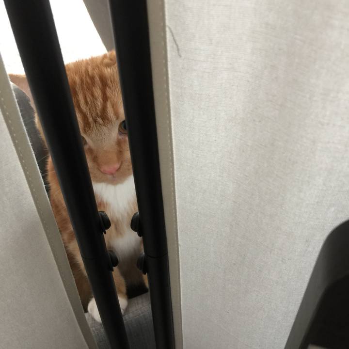 9e0a3388 8f88 4c5a 8296 e495495d96bc